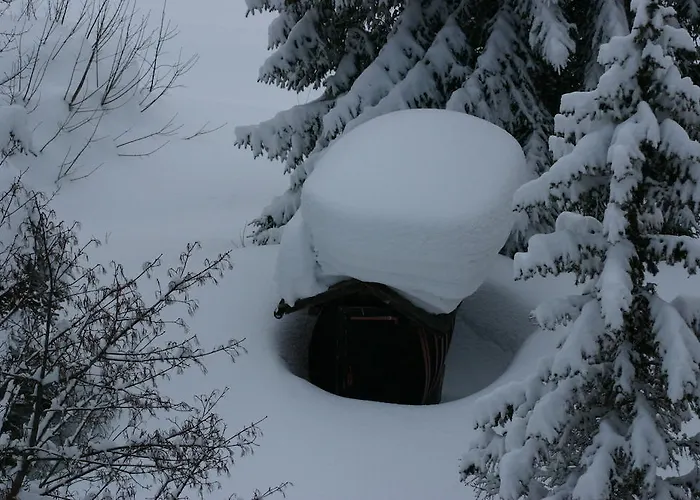 Alfa Appartements Superior