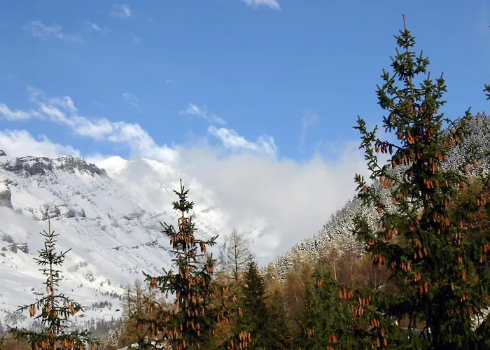 Alfa Appartements Superior